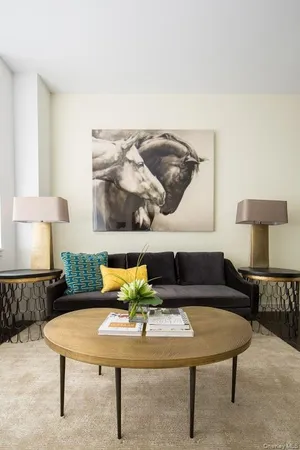 $4,600 | 1 3rd, Unit 825, Mineola, NY 11501