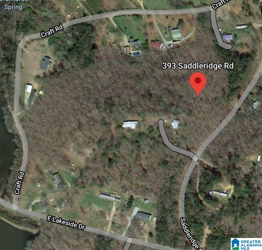 393 Saddleridge Road Talladega, AL 35160 - Photo 2 of 3