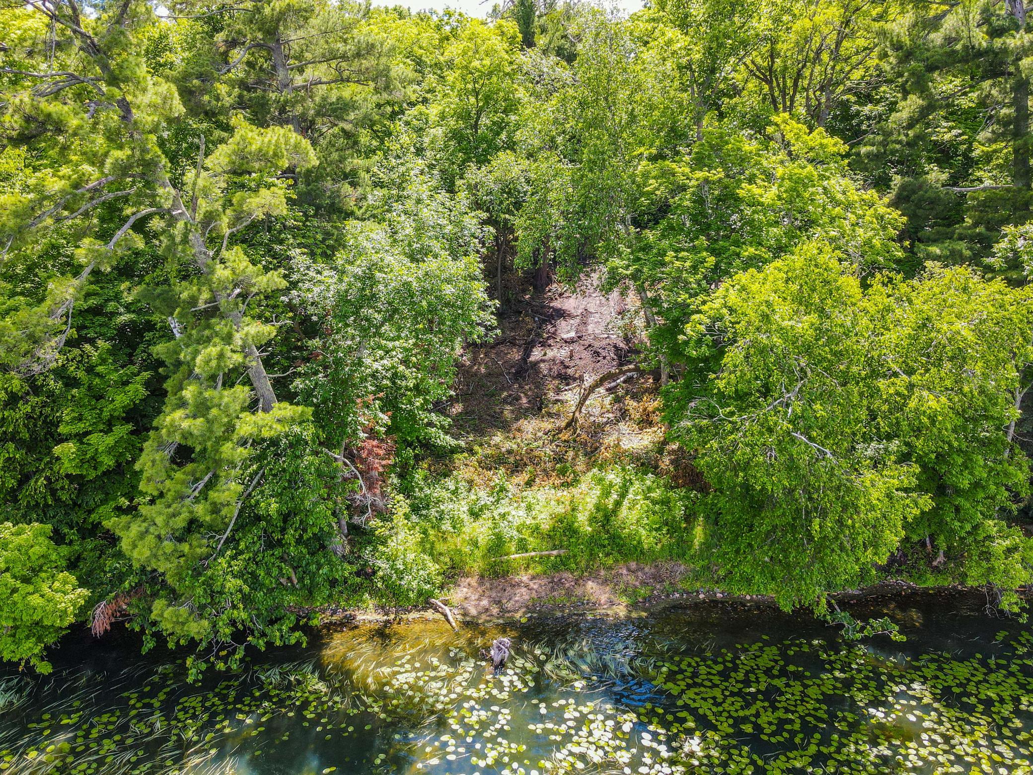 44698 Idas Road Osage, MN 56570 - Photo 16 of 18