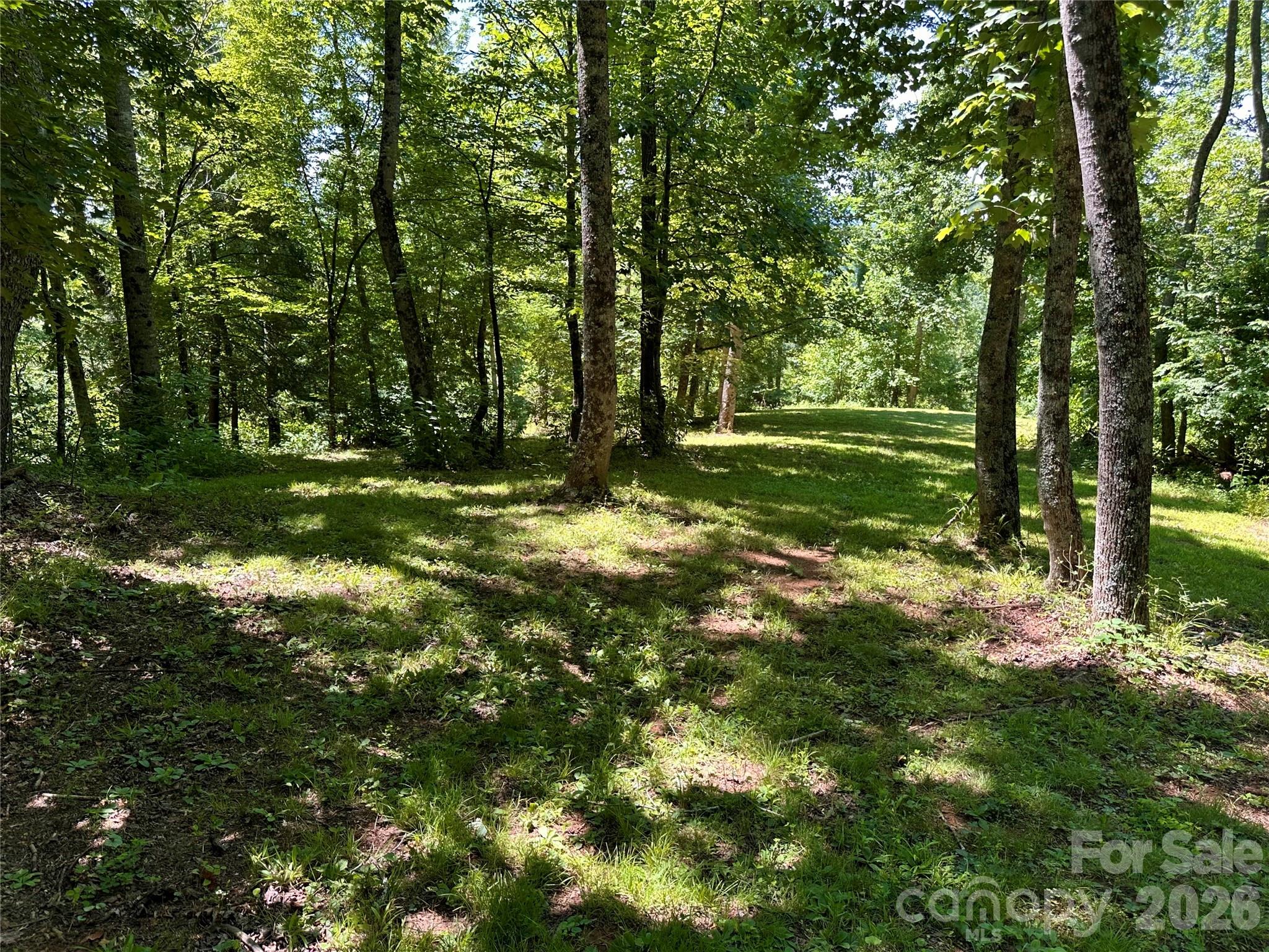 2825 Harrell Hill Road Bakersville, NC 28705 - Photo 44 of 47