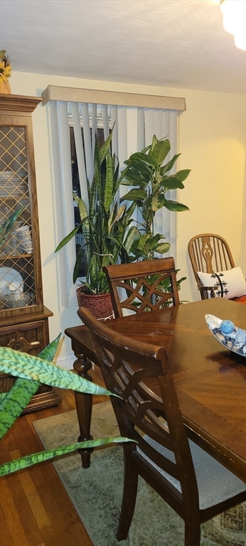 113 Belnel Road Boston, MA 02136 - Photo 17 of 29 Gallery Image 17