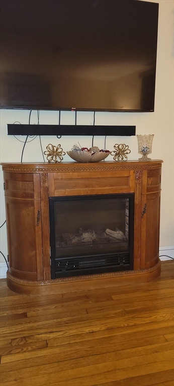 113 Belnel Road Boston, MA 02136 - Photo 10 of 29 Gallery Image 10