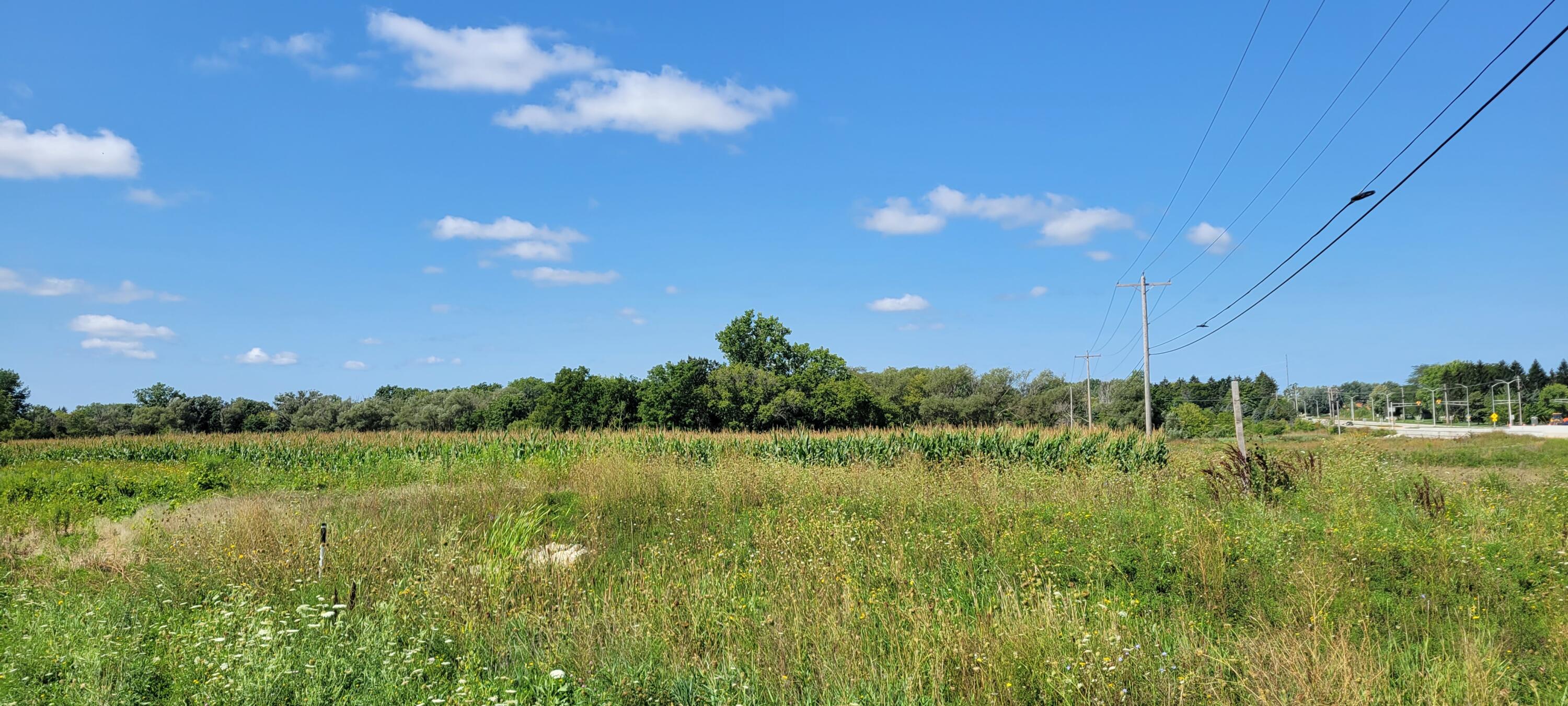 Lt1 Old Green Bay Road Somers, WI 53144 - Photo 3 of 6 Standing SW Corner
