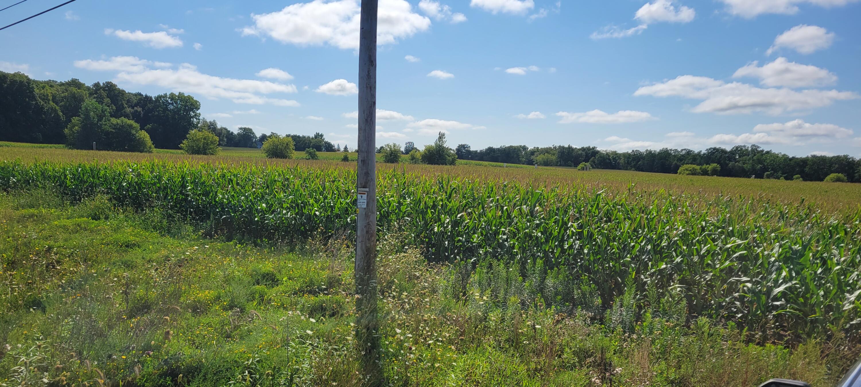 Lt1 Old Green Bay Road Somers, WI 53144 - Photo 6 of 6 Looking SE Property