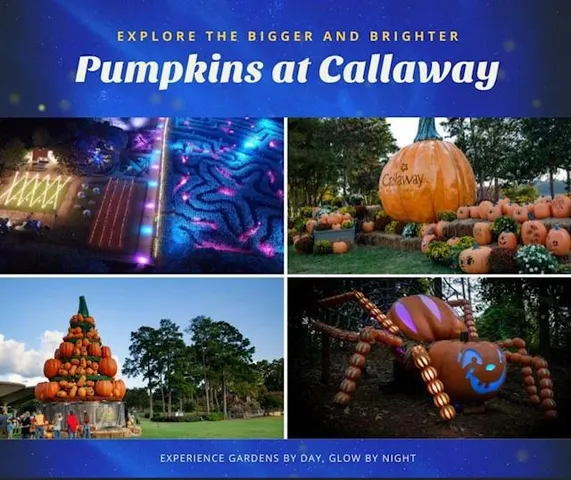 $75,000 | 1058 Meadows Court, Pine Mountain, GA 31822