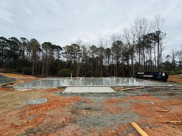 a view of a yard with palm tree