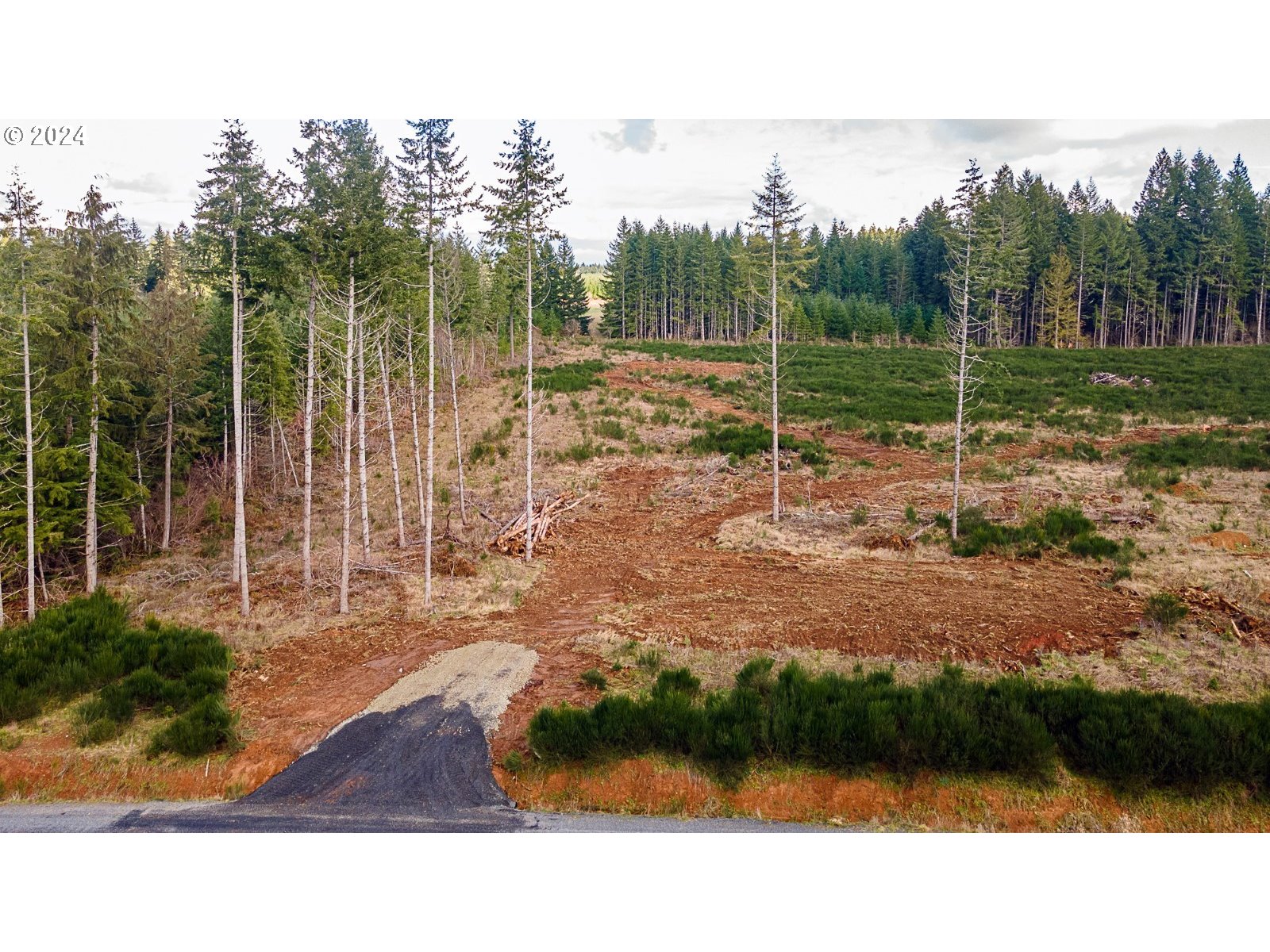 132 Nando Lane Winlock, WA 98596 - Photo 14 of 16 a backyard of a house with lots of green space