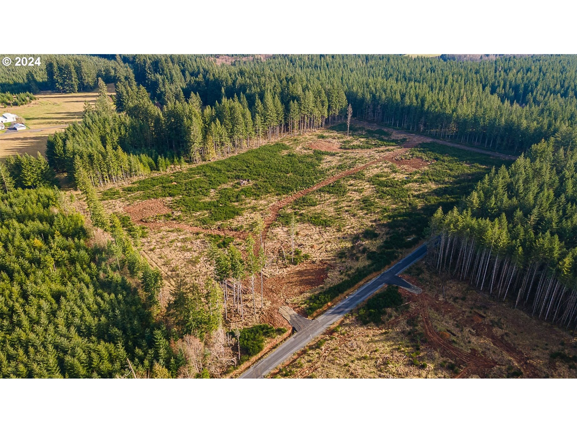 132 Nando Lane Winlock, WA 98596 - Photo 3 of 16