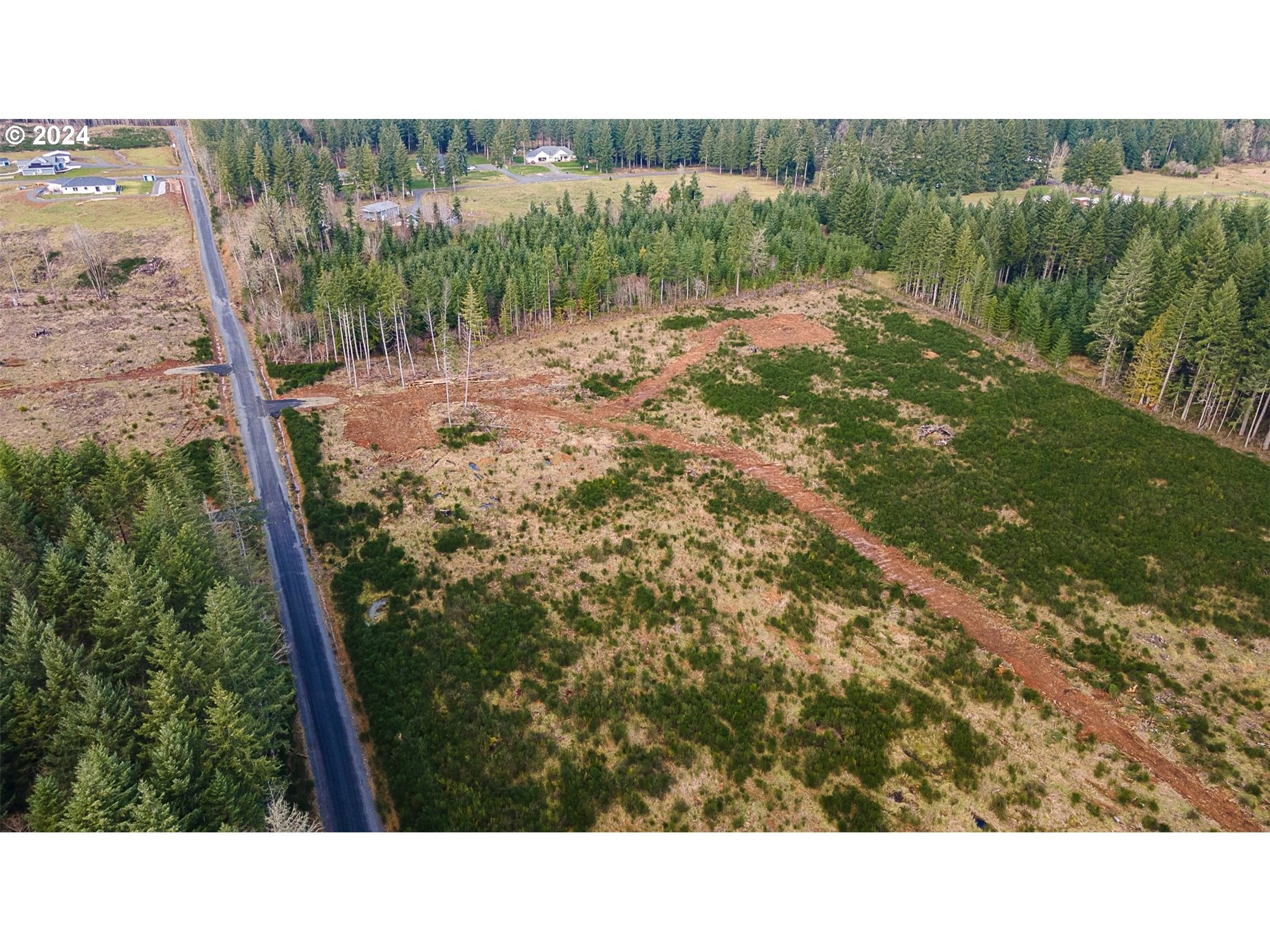 132 Nando Lane Winlock, WA 98596 - Photo 5 of 16 a open area with lots of trees