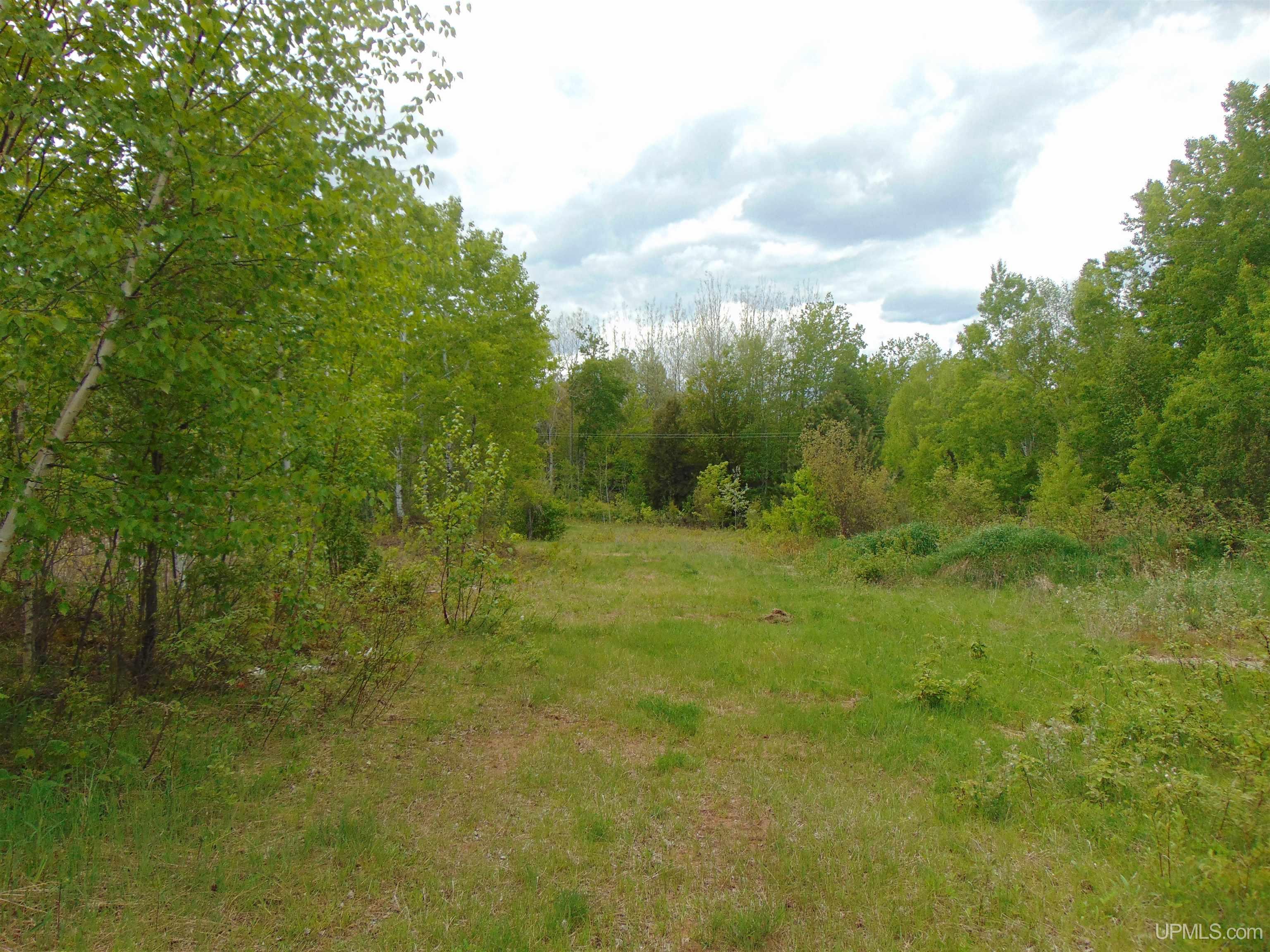 Tbd 1 Off M28 Road Trout Creek, MI 49967 - Photo 13 of 24