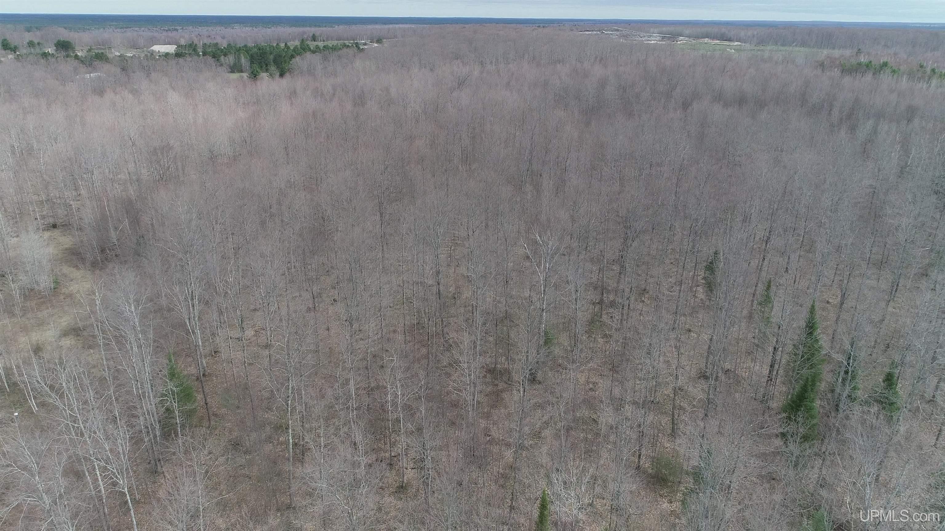 Parcel B County 433 Road Gulliver, MI 49840 - Photo 4 of 14