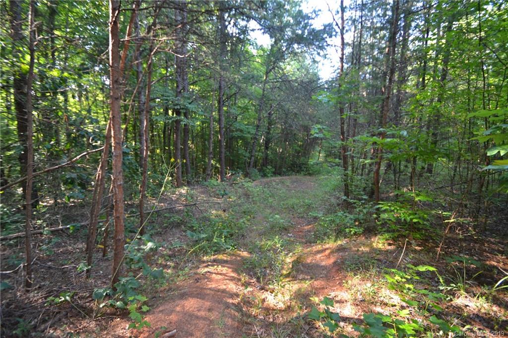 3431 Lee Moore Road Maiden, NC 28650 - Photo 38 of 44 a view of forest