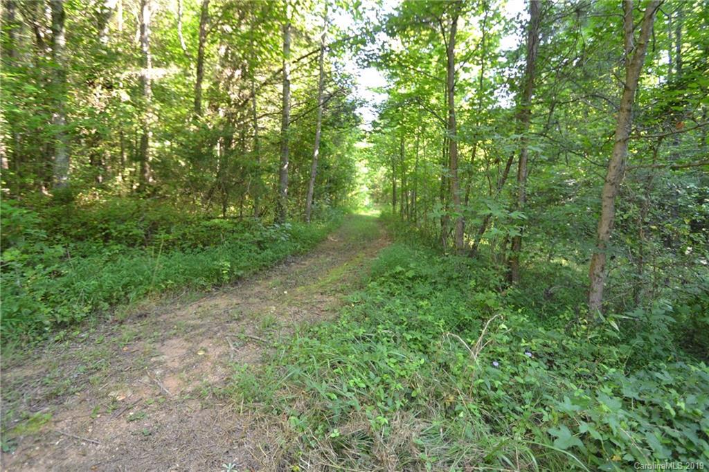 3431 Lee Moore Road Maiden, NC 28650 - Photo 44 of 44 a view of a lush green forest
