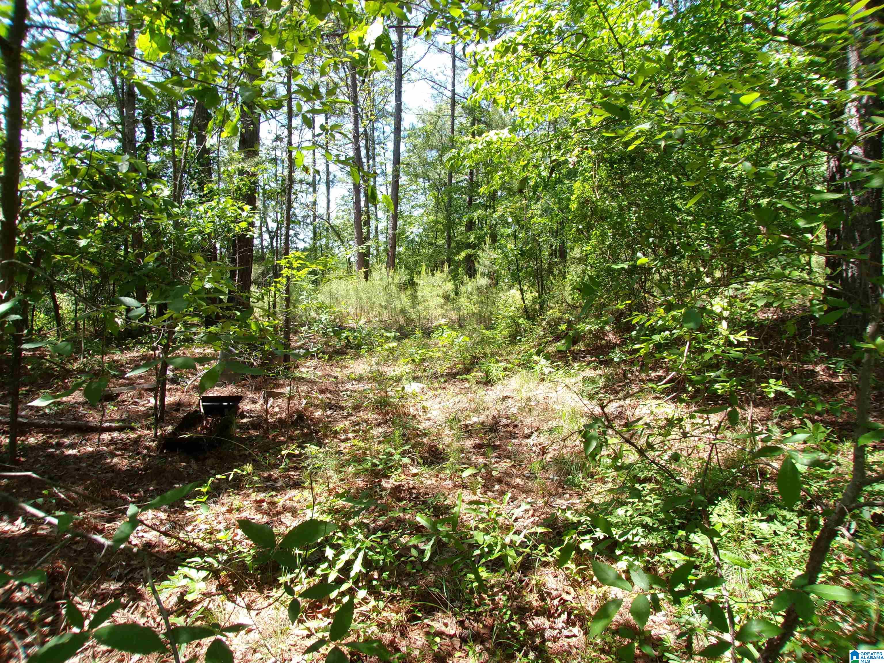 1 St Mary Road South, Unit 1 Lincoln, AL 35096 - Photo 5 of 23