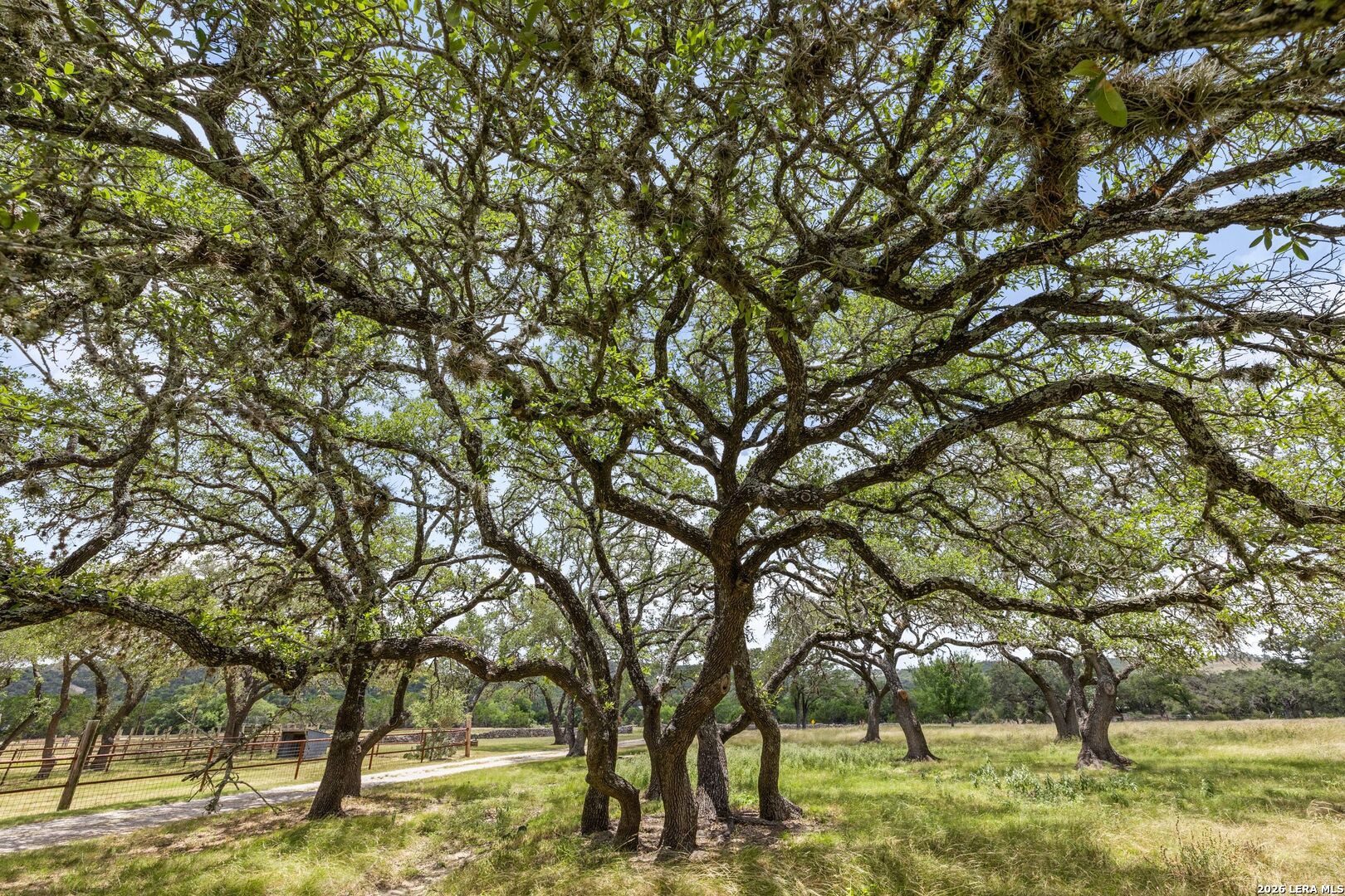 271-173 Big Creek Road Blanco, TX 78606 - Photo 25 of 75