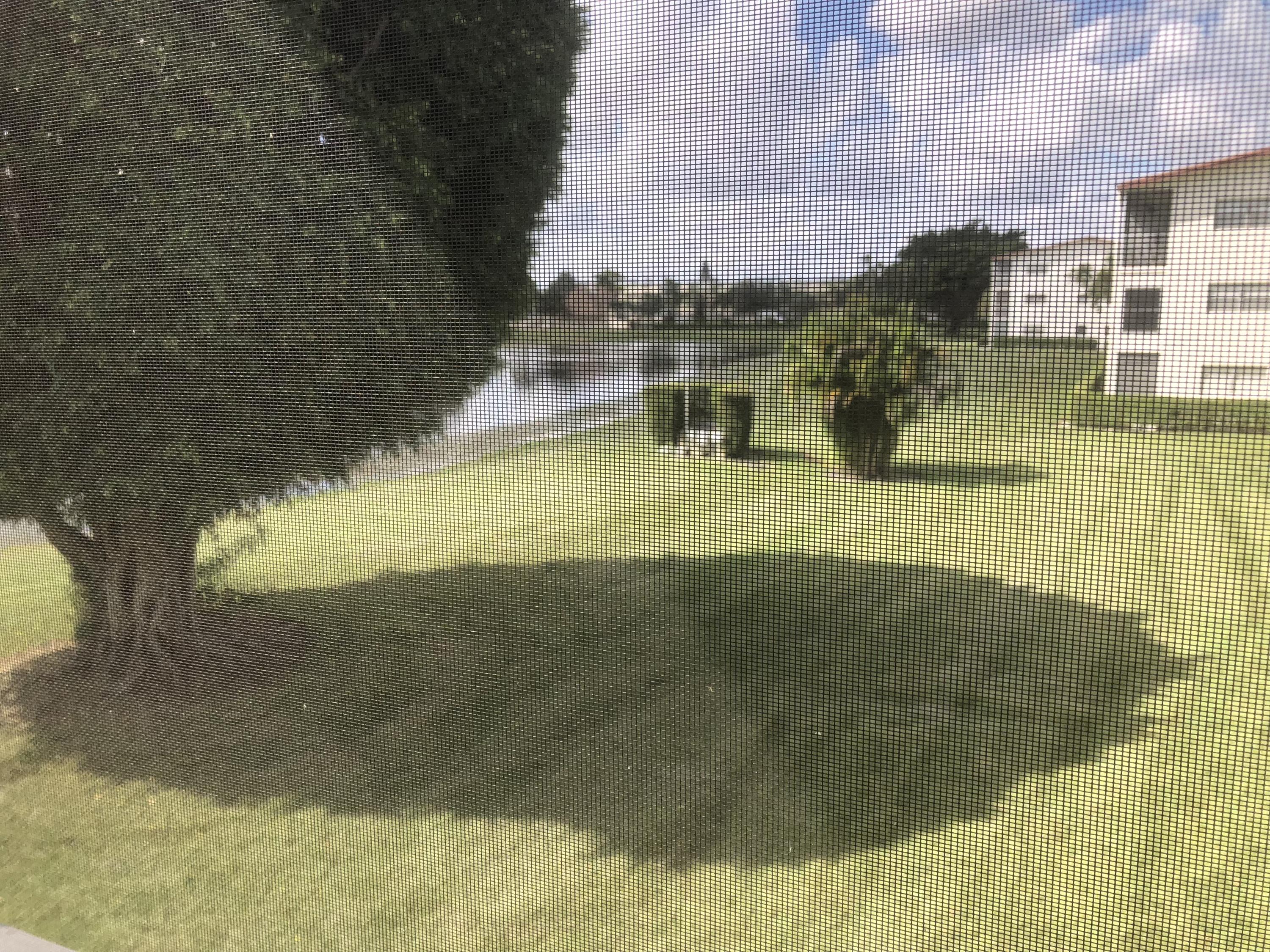 144 Brighton D Boca Raton, FL 33434 - Photo 12 of 14 IMG_0590