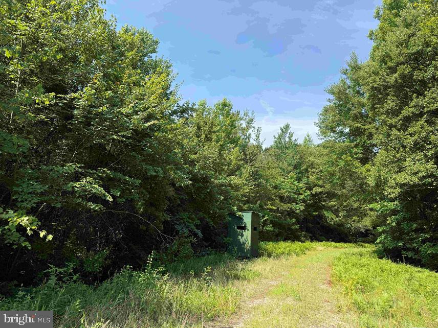 Sarecta Road Kenansville, NC 28349 - Photo 20 of 28
