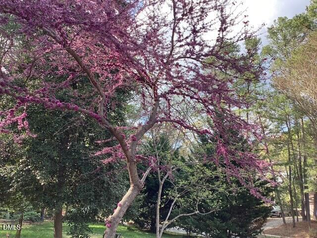 101 Pinecrest Road Durham, NC 27705 - Photo 18 of 30 IMG_1078