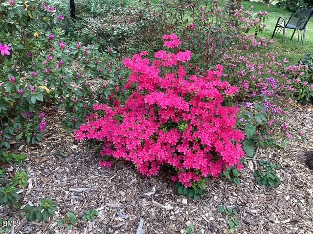 101 Pinecrest Road Durham, NC 27705 - Photo 19 of 30 IMG_1079