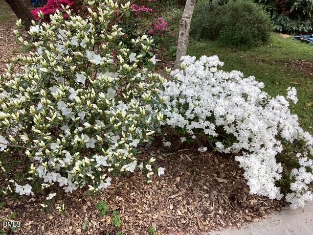 101 Pinecrest Road Durham, NC 27705 - Photo 20 of 30 IMG_1080