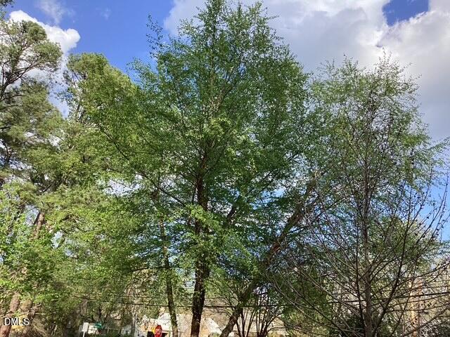 101 Pinecrest Road Durham, NC 27705 - Photo 30 of 30 IMG_1092