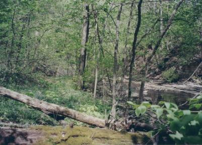 525 McCalls Mill Road Lexington, KY 40515 - Photo 6 of 7 Photo 6