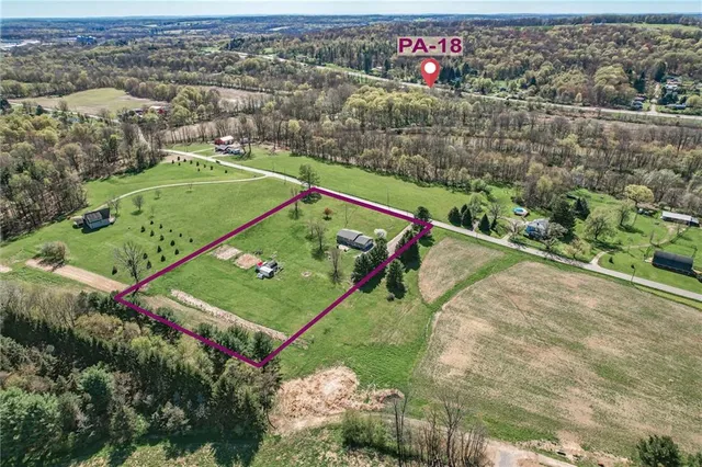 an aerial view of a tennis ground and a large tree