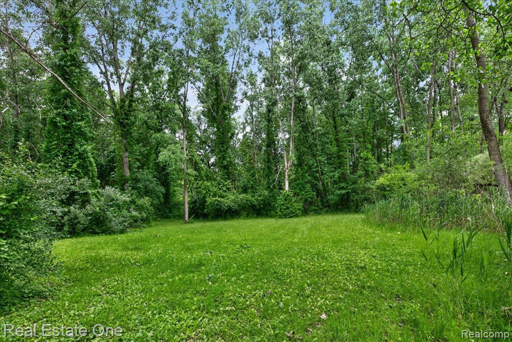 425 Courtney Road Leonard, MI 48367 - Photo 70 of 89 Gallery Image 70
