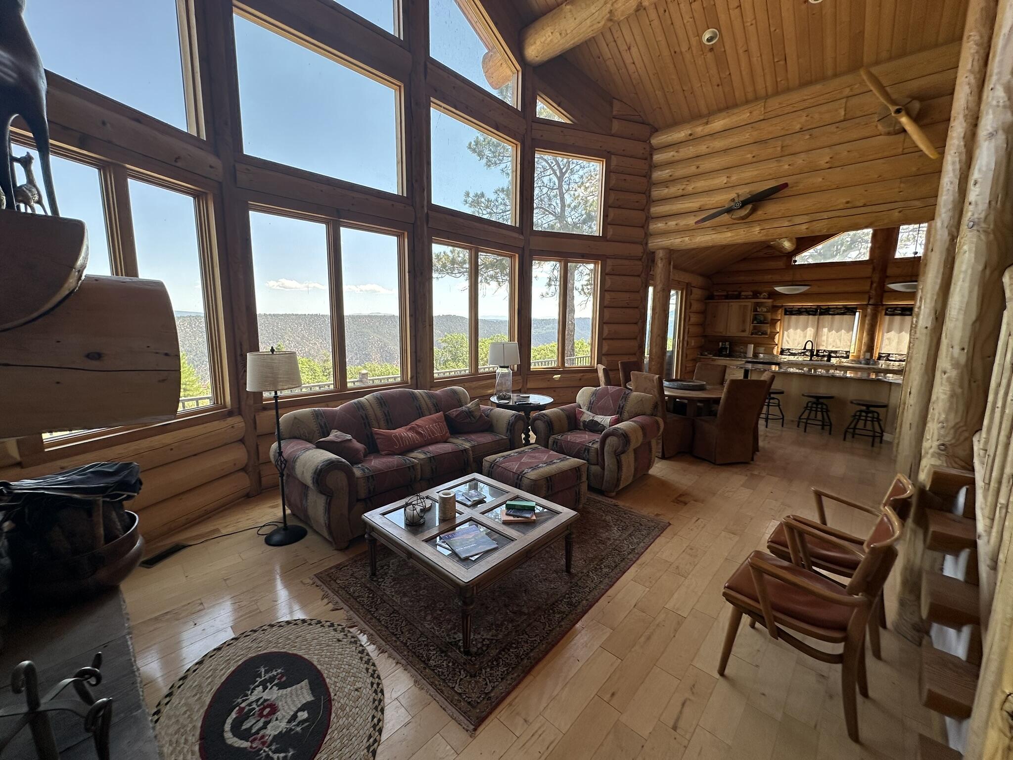135 Canyon Rim Loop Placerville, CO 81430 - Photo 9 of 61 Great Room w Views