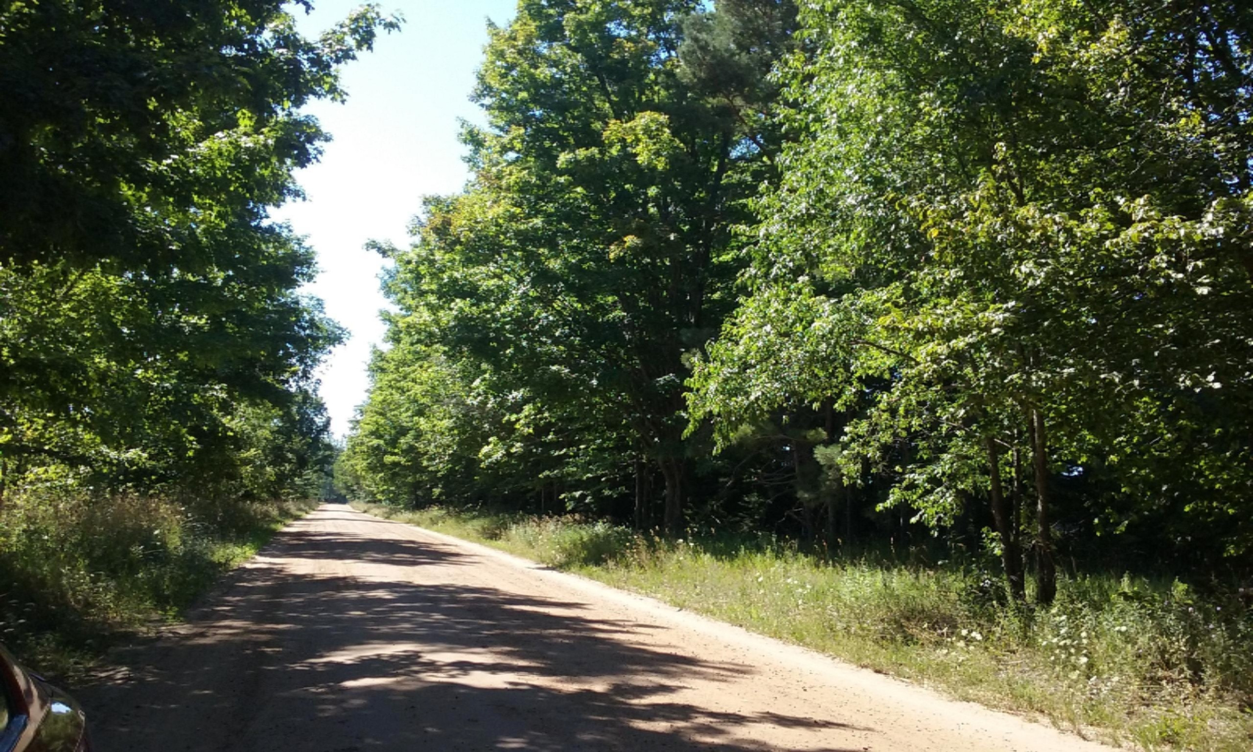 77-ac Erdman Road Bear Lake, MI 49614 - Photo 13 of 17 Corner Road Frontage!