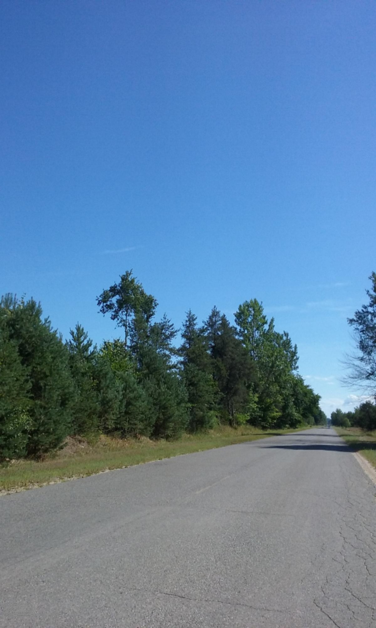 77-ac Erdman Road Bear Lake, MI 49614 - Photo 17 of 17 2016-08-08 16.21.45