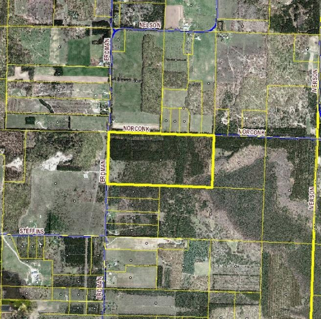 77-ac Erdman Road Bear Lake, MI 49614 - Photo 3 of 17 77ac Aerial`Below SEV!