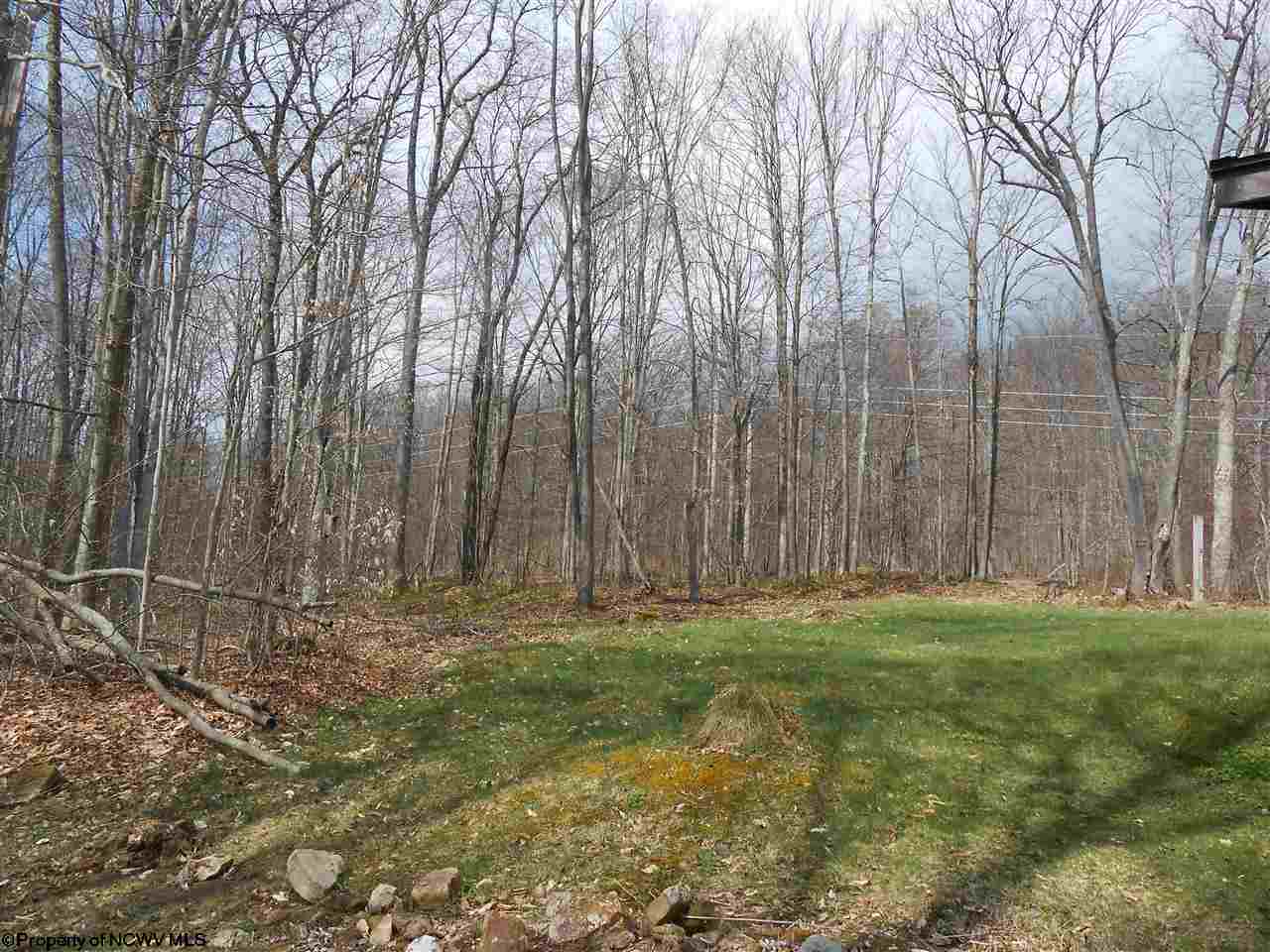127 Cub Run Road Davis, WV 26260 - Photo 5 of 10 Gallery Image 5