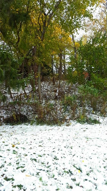 2918 Marshall Road Observatory Hill, PA 15214 - Photo 23 of 23 Gallery Image 23