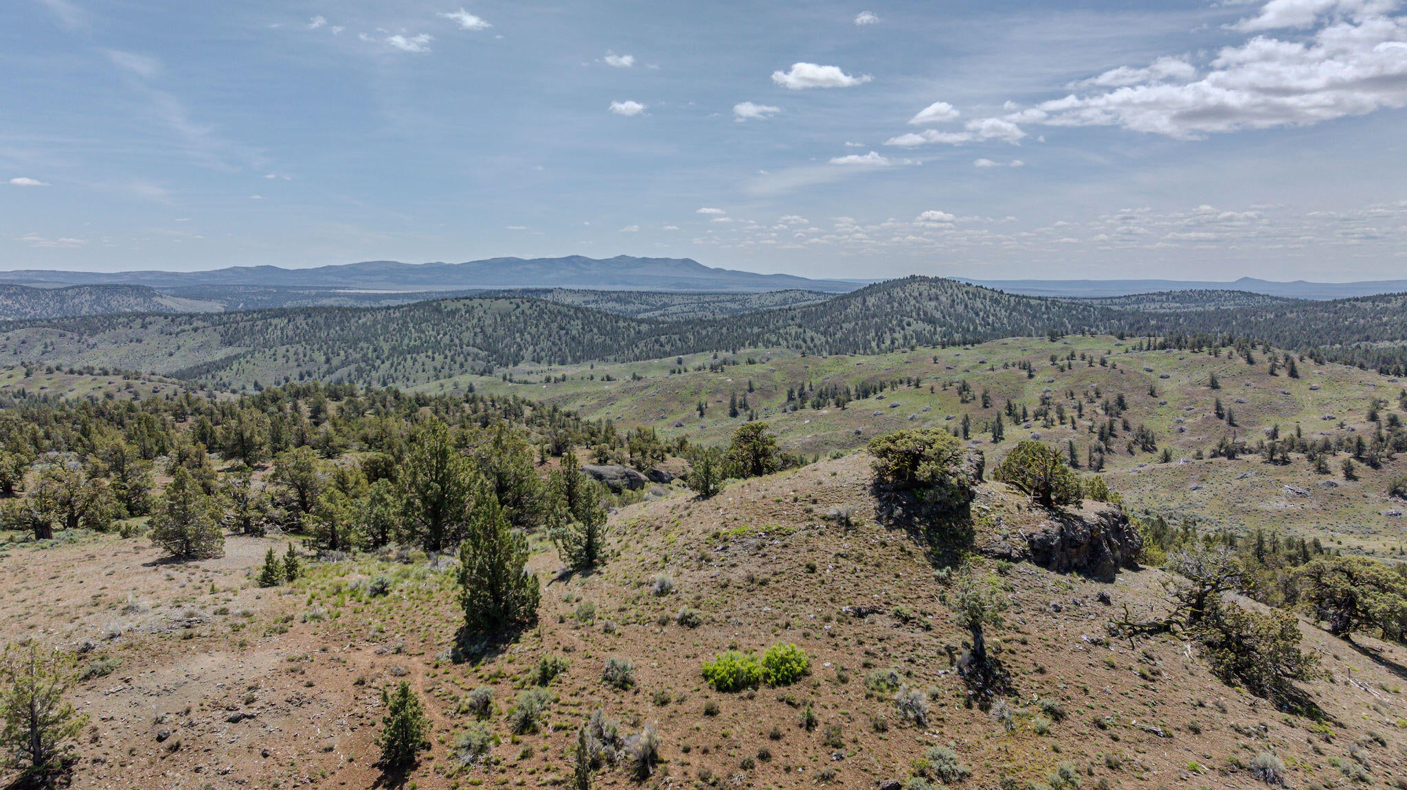 41225 Van Lake Road Prineville, OR 97754 - Photo 116 of 181 DJI_20260430123043_0160_D-HDR