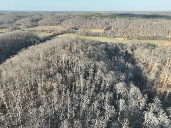 $350,000 | 1356 Upper Standing Rock Road, Dover, TN 37058