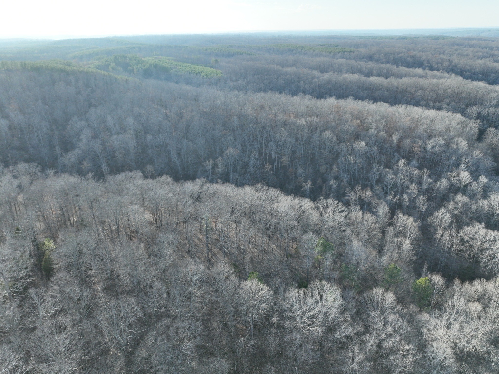 1356 Upper Standing Rock Road Dover, TN 37058 - Photo 2 of 5