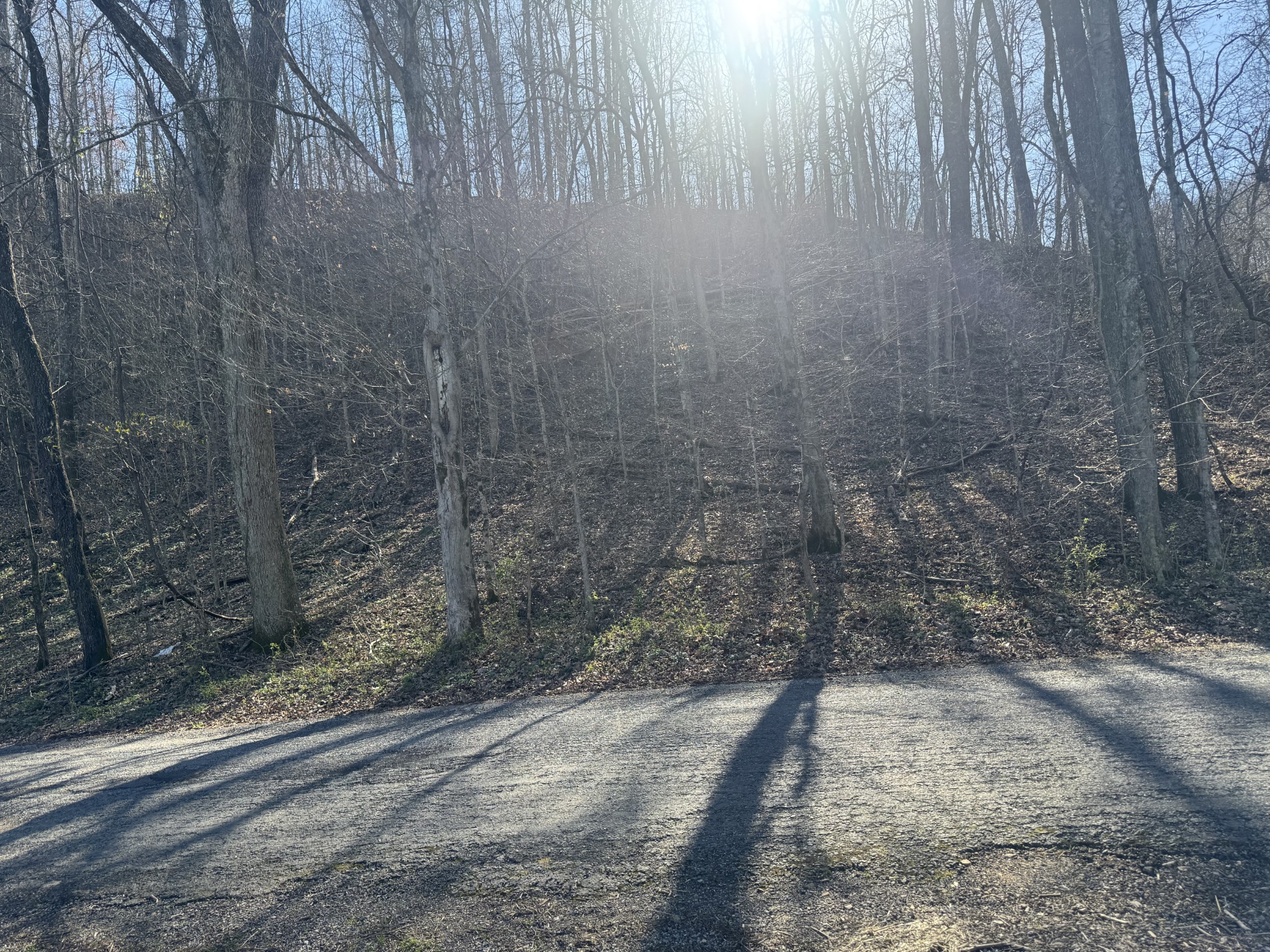 1356 Upper Standing Rock Road Dover, TN 37058 - Photo 4 of 5