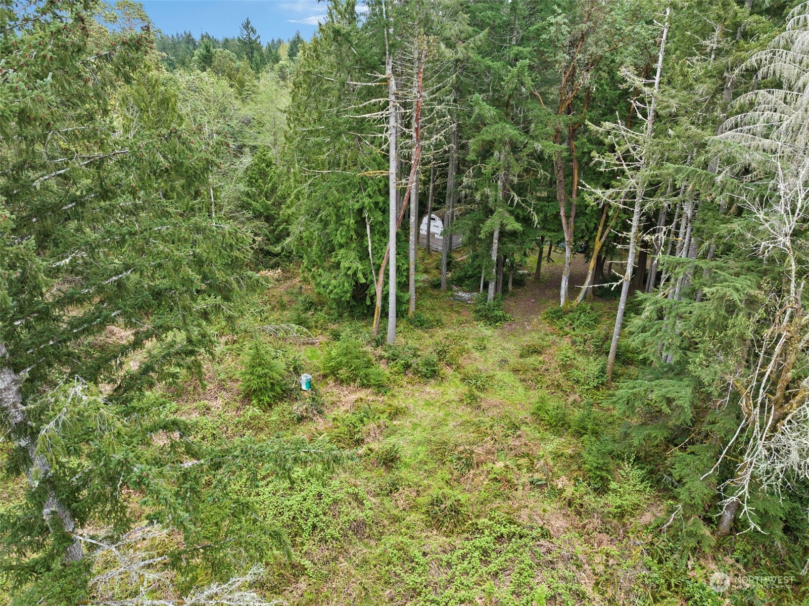 18813 Rouse Road Southwest Longbranch, WA 98351 - Photo 1 of 11 a green field with lots of bushes