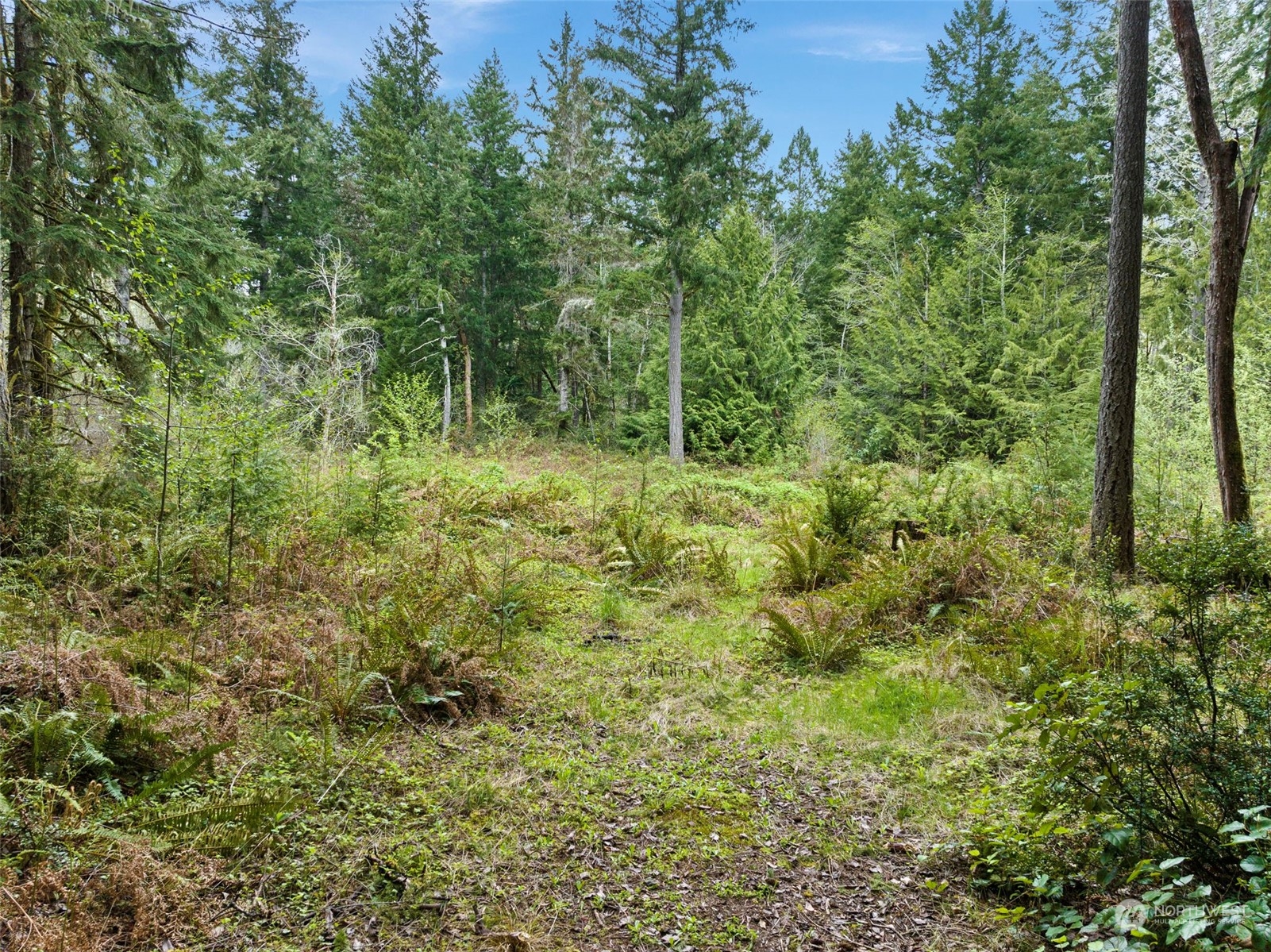 18813 Rouse Road Southwest Longbranch, WA 98351 - Photo 11 of 11 a view of outdoor space and green space