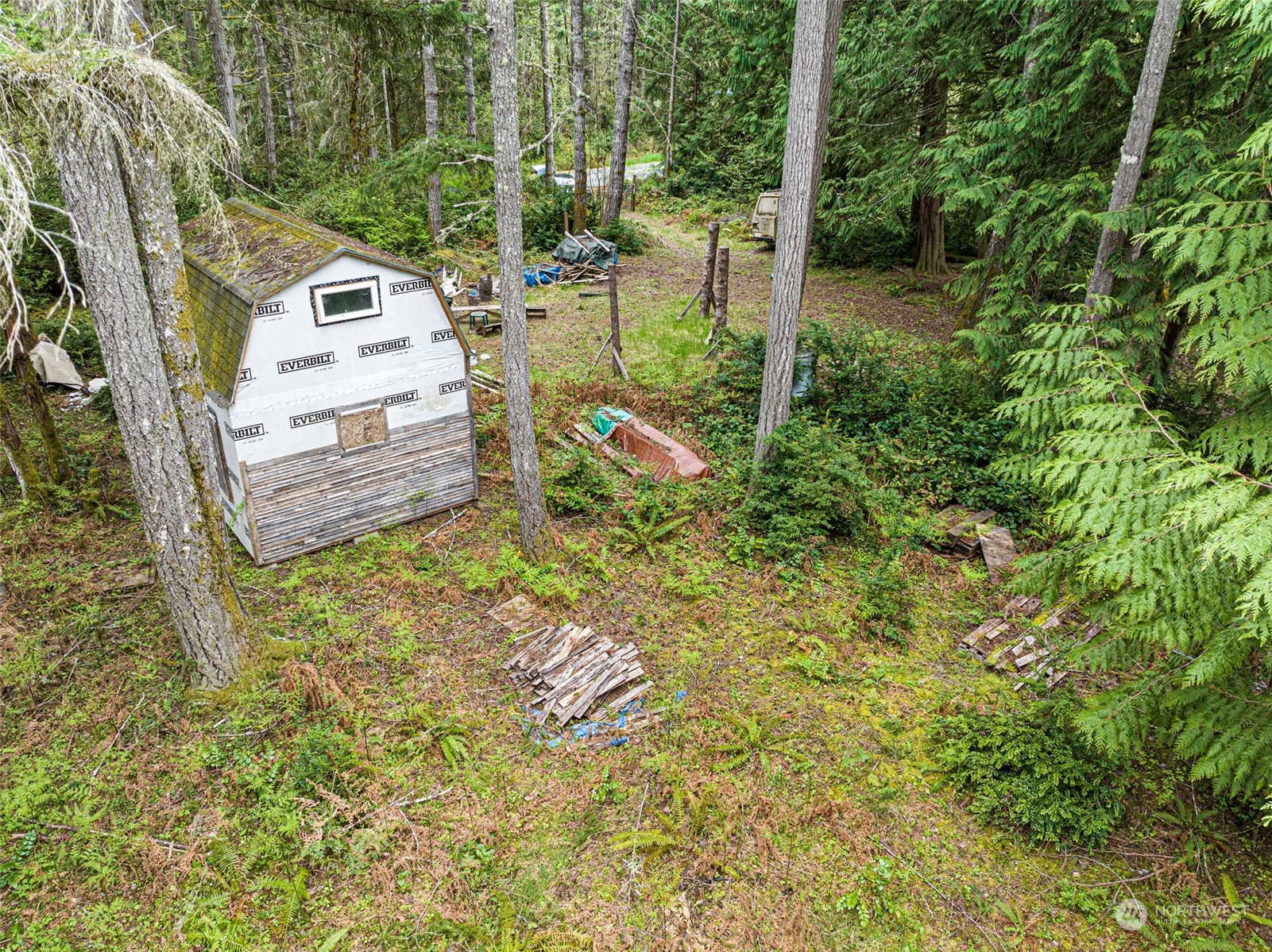 18813 Rouse Road Southwest Longbranch, WA 98351 - Photo 5 of 11 a view of a yard with plants