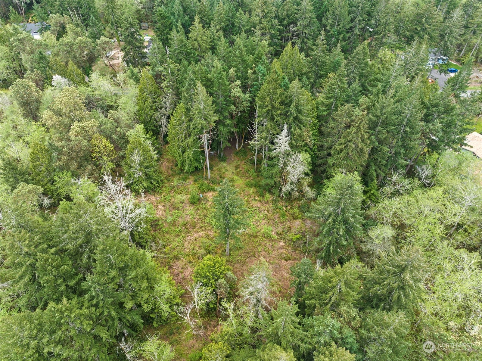 18813 Rouse Road Southwest Longbranch, WA 98351 - Photo 10 of 11 a view of a lush green forest