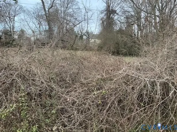a view of a dry yard with trees