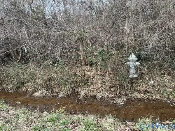 a close up of a plant