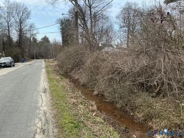 a view of a yard with trees