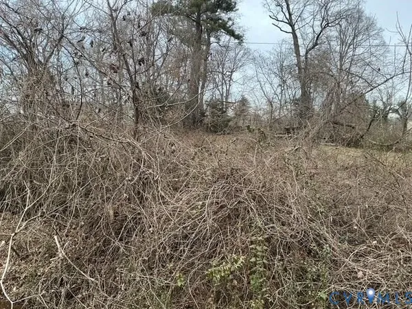 a view of a forest with trees