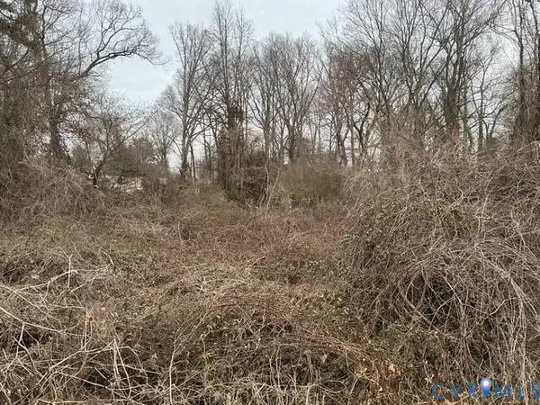 a view of a yard with large trees