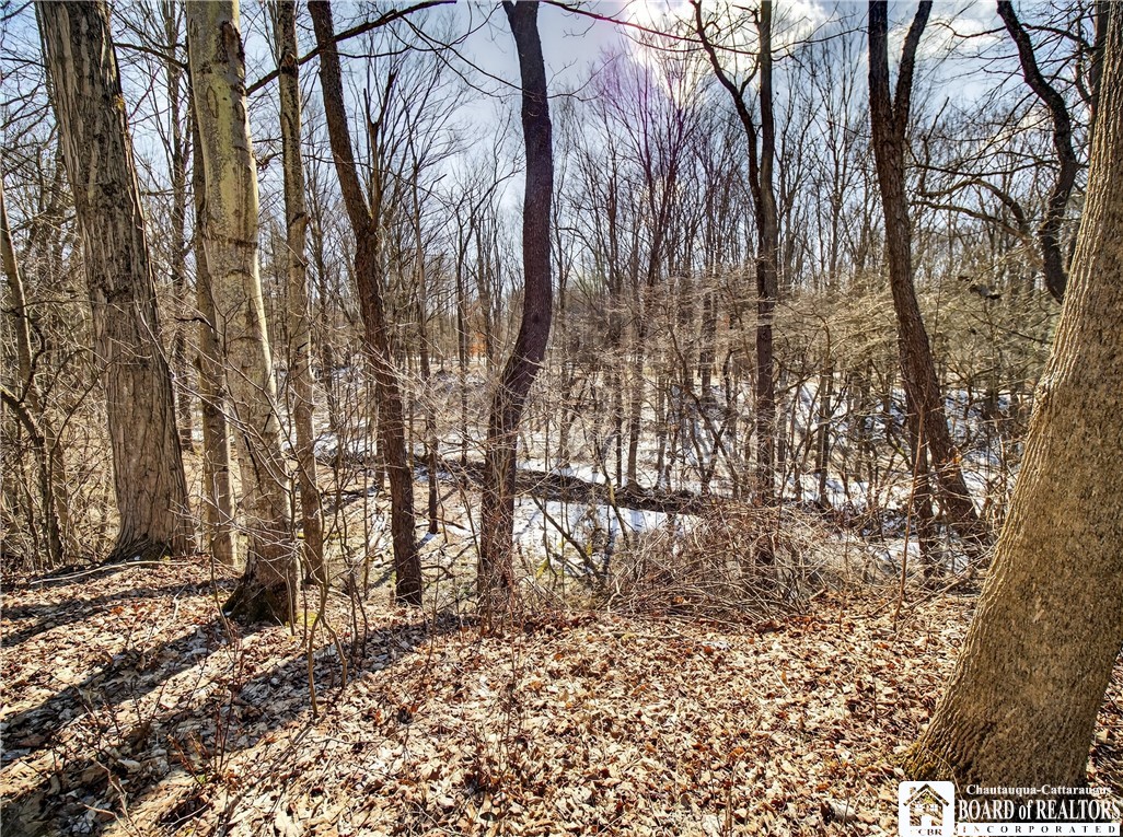 131 Sturdevant Road Kiantone, NY 14701 - Photo 40 of 50