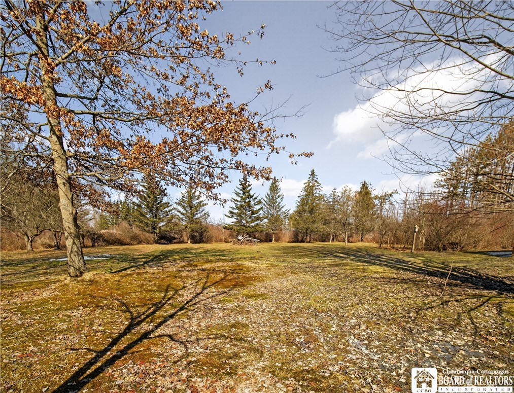 131 Sturdevant Road Kiantone, NY 14701 - Photo 45 of 50