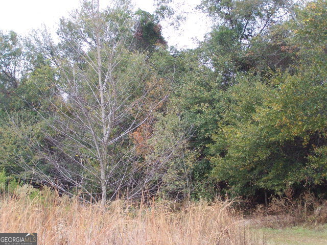 3-acres Old Dairy Road Ailey, GA 30410 - Photo 1 of 1 Main View